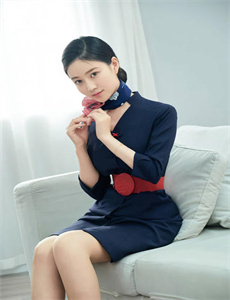 《新杨门女将电视剧》