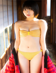 《胭脂电视剧全集》