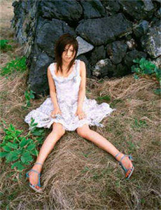 《妻妾成群电视剧》